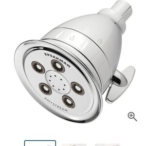 Anystream White and Silver Shower Head